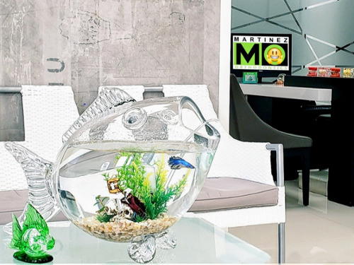 Specialized Miami Orthodontist: Professional & Clean Environment